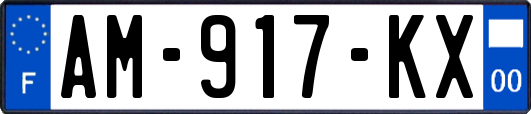 AM-917-KX