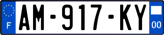 AM-917-KY