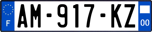 AM-917-KZ