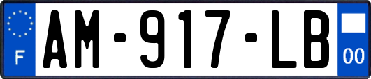 AM-917-LB