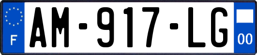 AM-917-LG