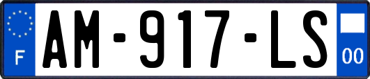 AM-917-LS