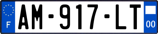 AM-917-LT
