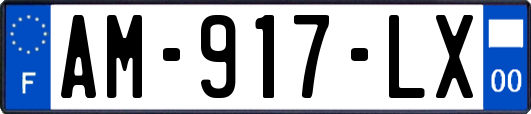 AM-917-LX