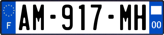 AM-917-MH