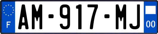 AM-917-MJ