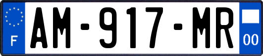 AM-917-MR