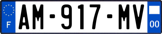 AM-917-MV