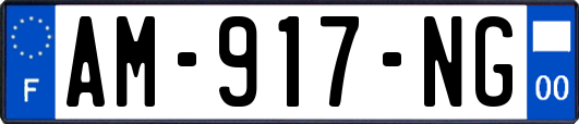 AM-917-NG
