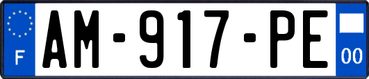 AM-917-PE