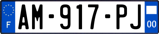 AM-917-PJ