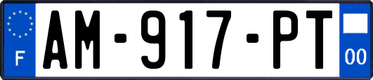 AM-917-PT