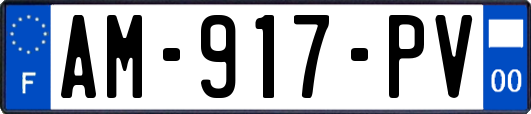 AM-917-PV