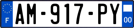 AM-917-PY