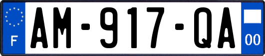 AM-917-QA