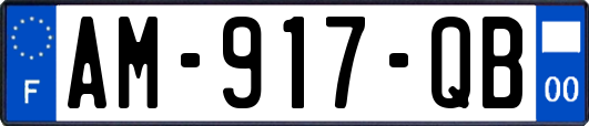 AM-917-QB