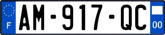 AM-917-QC
