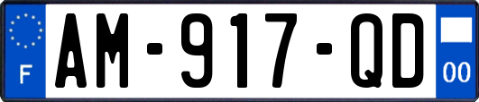 AM-917-QD