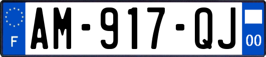 AM-917-QJ