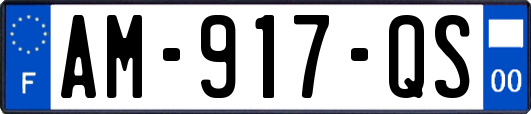 AM-917-QS