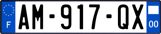 AM-917-QX