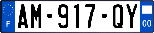 AM-917-QY