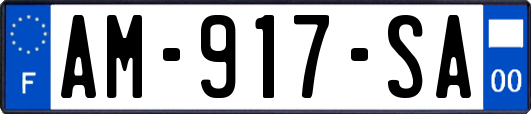 AM-917-SA