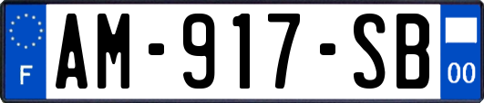 AM-917-SB