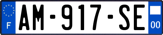 AM-917-SE
