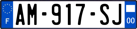 AM-917-SJ