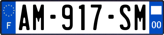 AM-917-SM