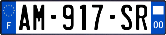 AM-917-SR