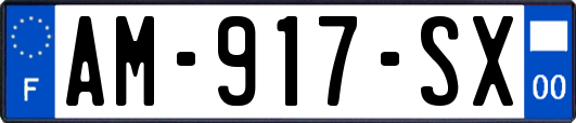 AM-917-SX