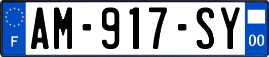 AM-917-SY