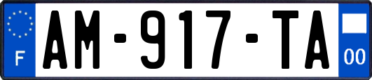 AM-917-TA