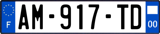 AM-917-TD