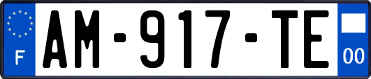 AM-917-TE