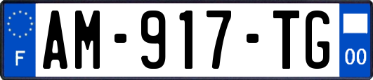 AM-917-TG