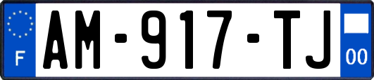 AM-917-TJ