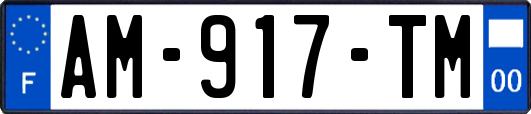 AM-917-TM