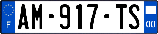 AM-917-TS