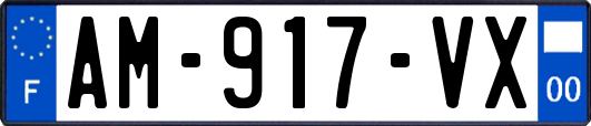 AM-917-VX