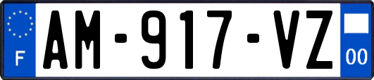 AM-917-VZ