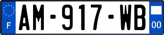 AM-917-WB