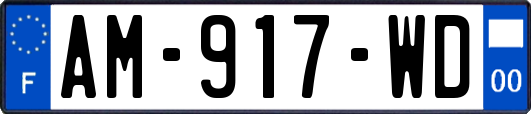 AM-917-WD
