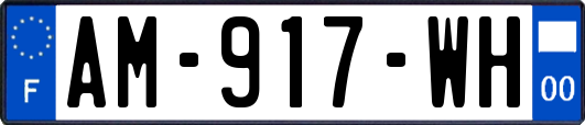 AM-917-WH