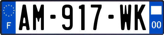 AM-917-WK