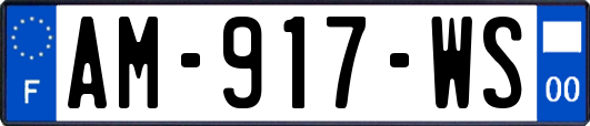 AM-917-WS