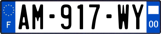 AM-917-WY
