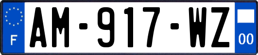 AM-917-WZ
